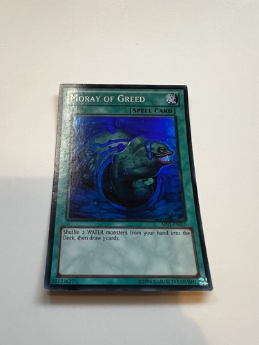 Moray of greed - moray,